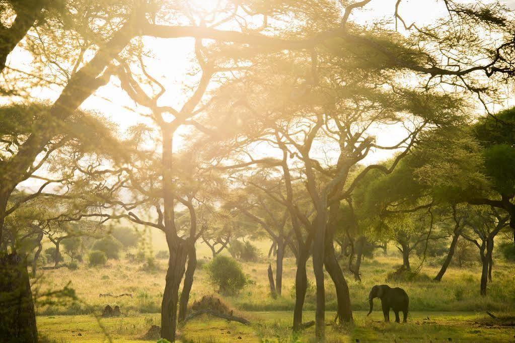 Sanctuary Swala Hotel Babati Exterior photo