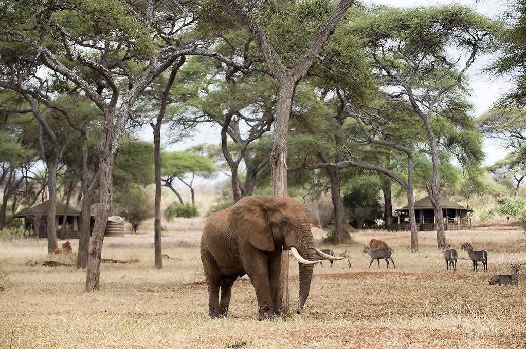 Sanctuary Swala Hotel Babati Exterior photo